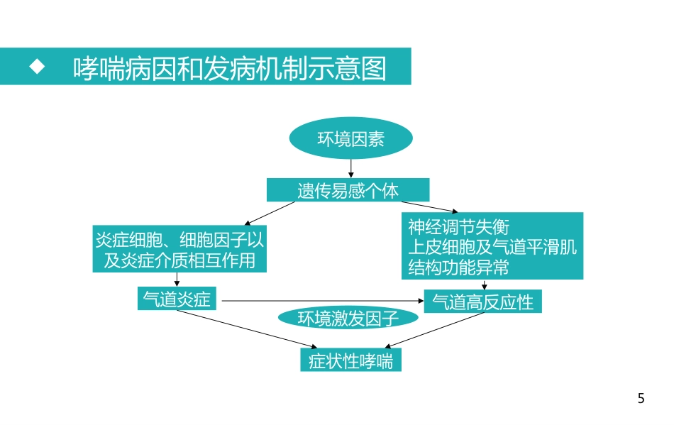 支气管哮喘患者的护理2_第5页