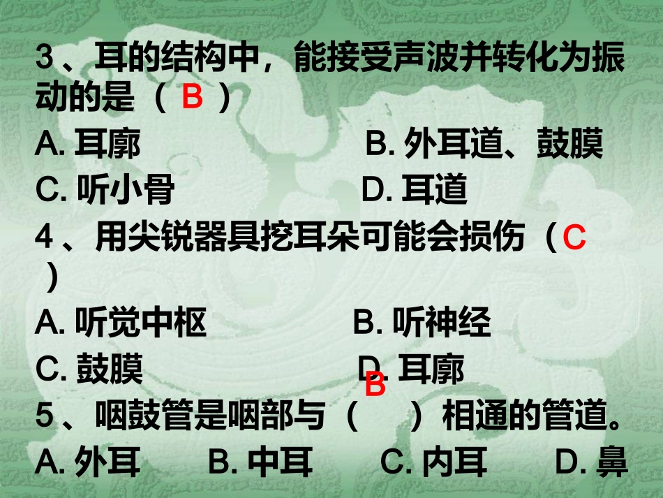 耳朵的结构和功能_第15页
