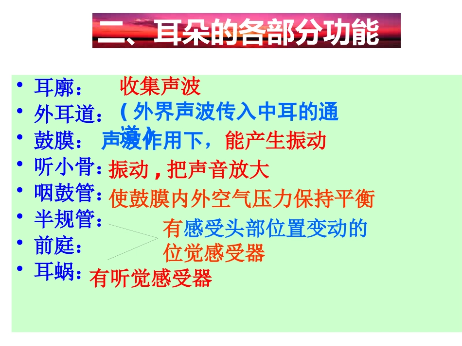 耳朵的结构和功能_第5页