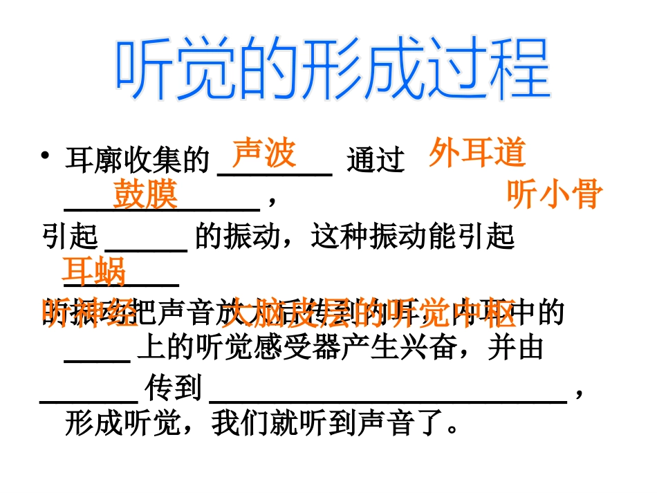 耳朵的结构和功能_第6页