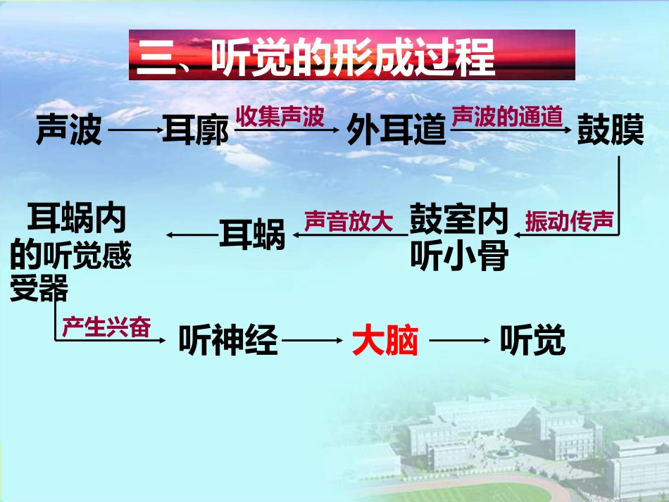 耳朵的结构和功能_第7页