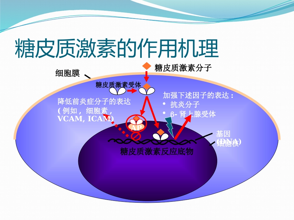 变应性鼻炎鼻内药物治疗_第12页