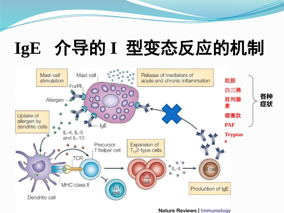 变应性鼻炎鼻内药物治疗_第7页