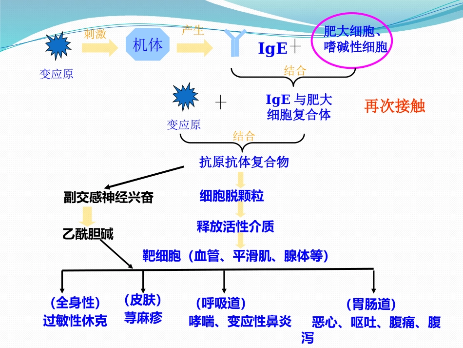 变应性鼻炎鼻内药物治疗_第9页