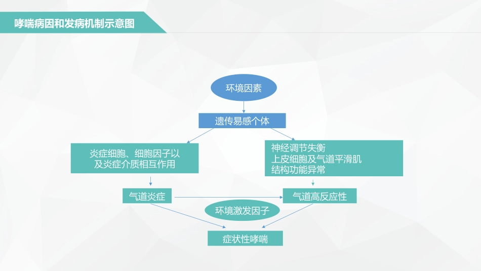 支气管哮喘患者的护理3_第5页