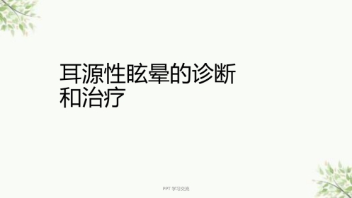 耳源性眩晕诊治ppt课件(1)