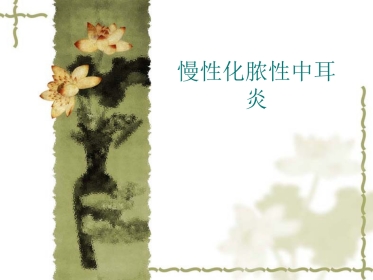 慢性中耳炎(1)