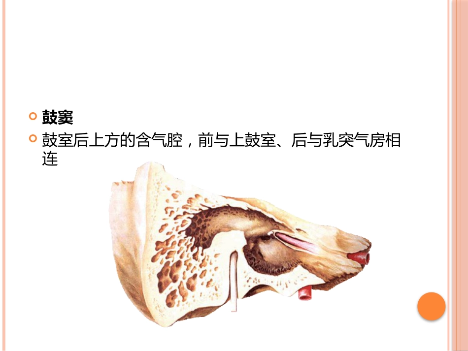 急性中耳炎(1)_第10页