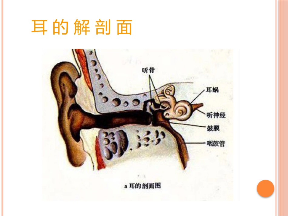 急性中耳炎(1)_第5页