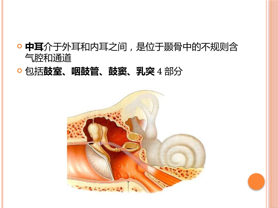 急性中耳炎(1)_第6页