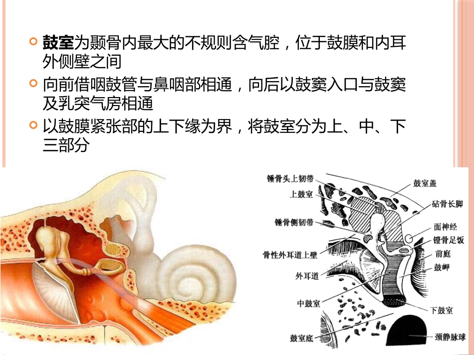 急性中耳炎(1)_第7页