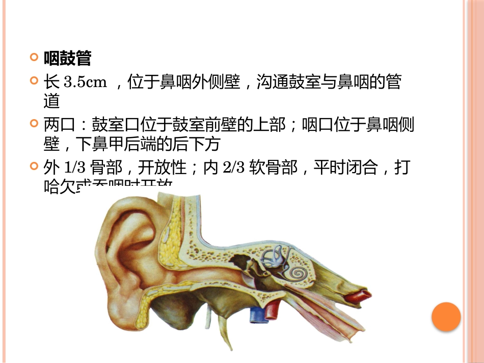 急性中耳炎(1)_第9页