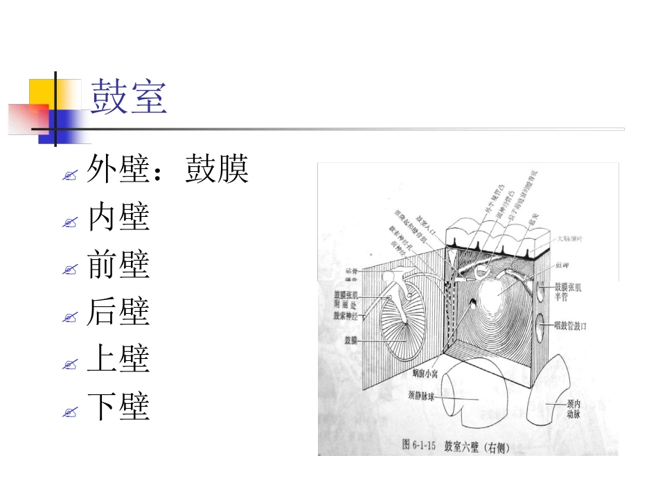 耳解剖及生理(1)_第10页