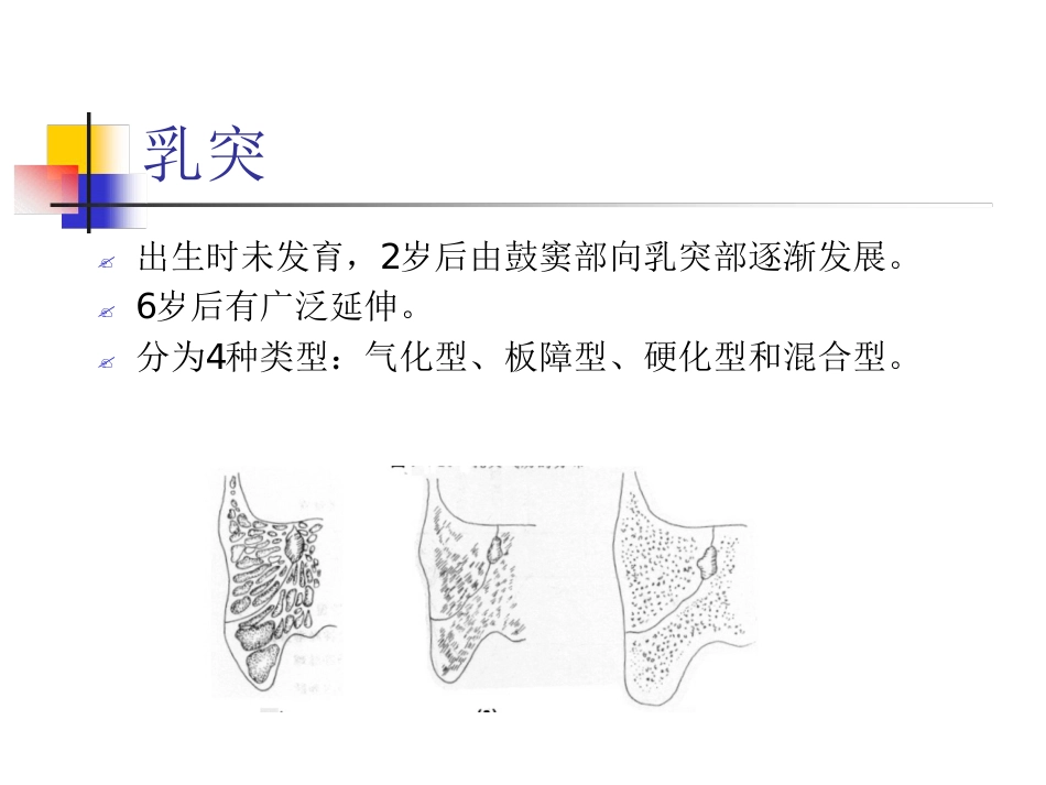 耳解剖及生理(1)_第15页