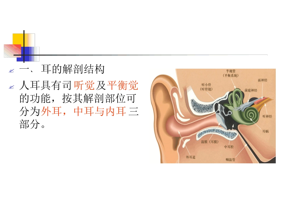 耳解剖及生理(1)_第2页