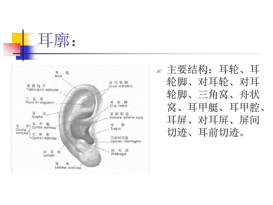 耳解剖及生理(1)_第4页
