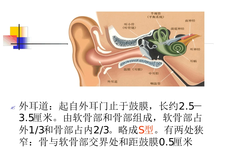 耳解剖及生理(1)_第7页