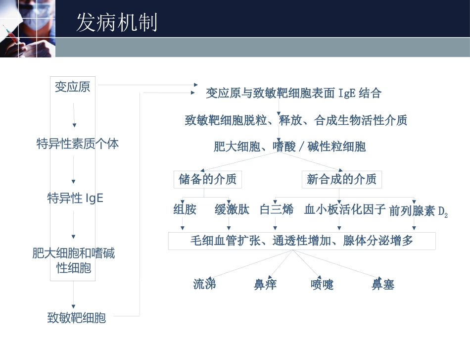 变应性鼻炎(1)_第6页