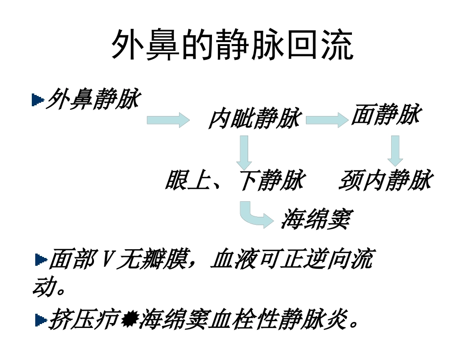 鼻部解剖1_第10页