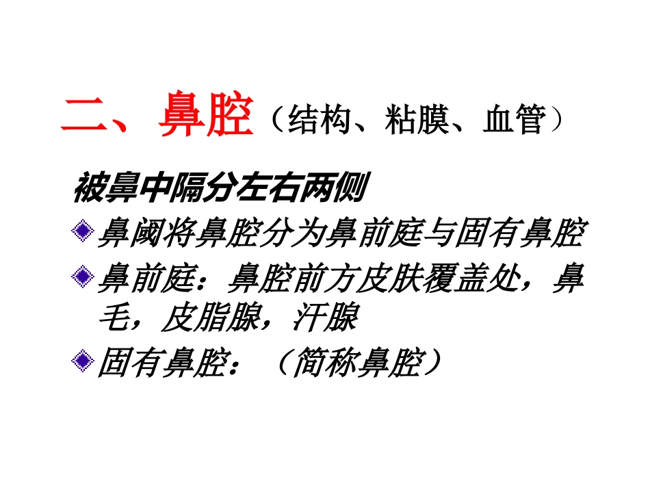 鼻部解剖1_第13页