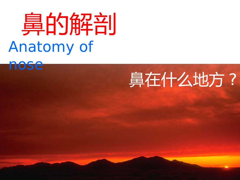 鼻部解剖1_第2页