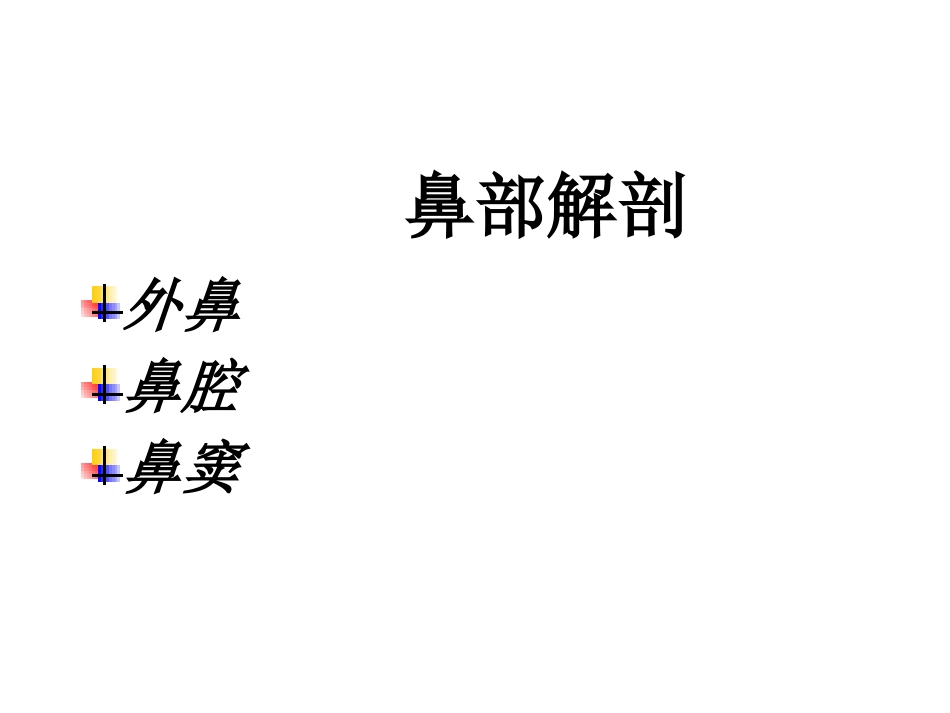 鼻部解剖1_第5页