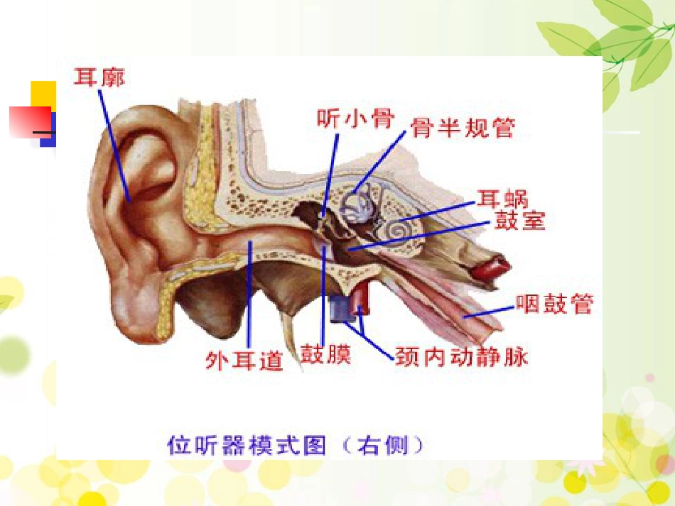 分泌性中耳炎(1)_第4页