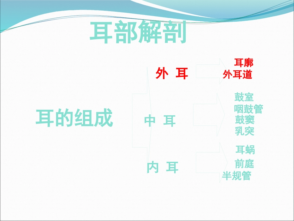 耳解剖(1)_第11页