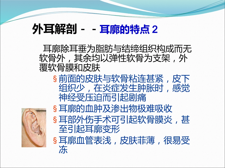 耳解剖(1)_第15页