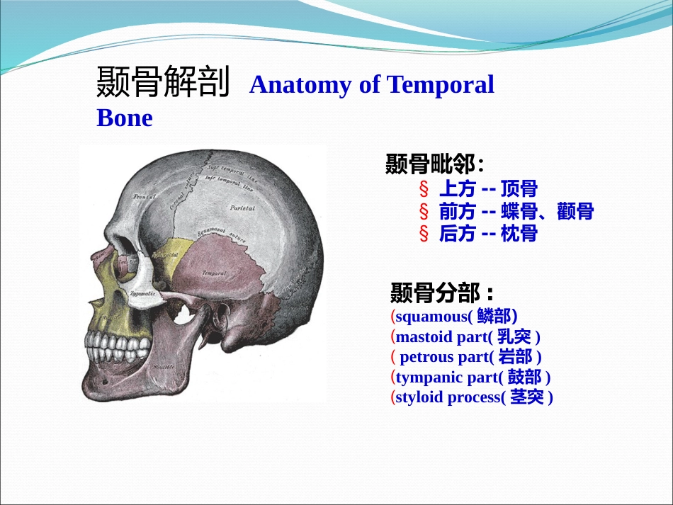 耳解剖(1)_第4页