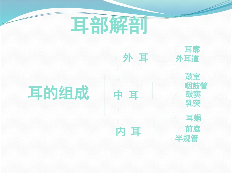 耳解剖(1)_第9页