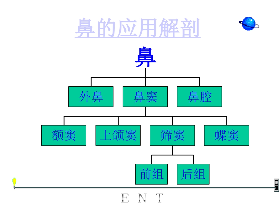 耳鼻喉 1cvc_第11页