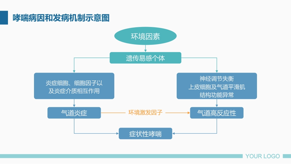 支气管哮喘患者的护理4_第5页