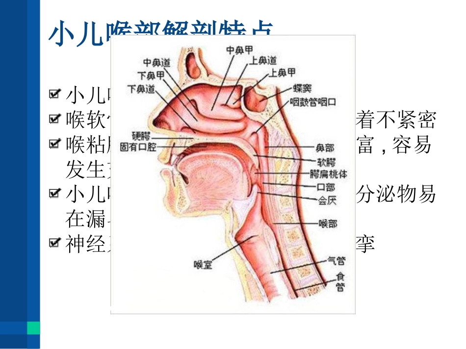 急性喉炎(1)_第5页