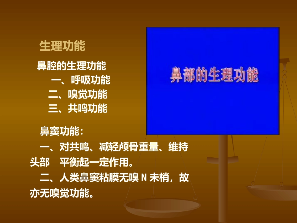 鼻部解剖及生理 (2)_第15页