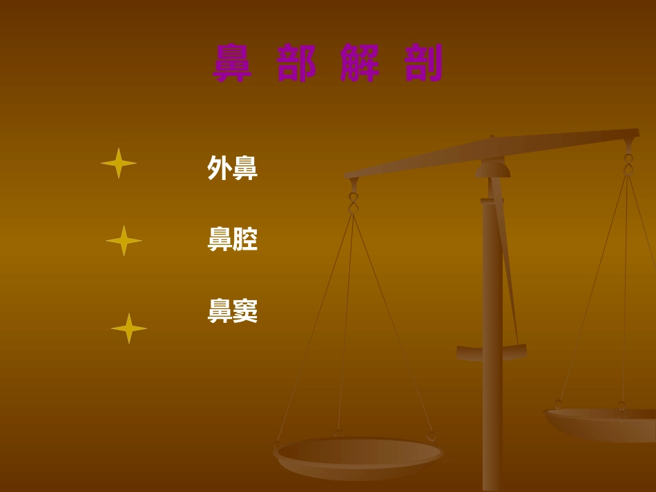 鼻部解剖及生理 (2)_第3页
