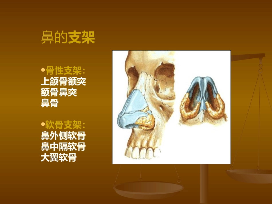 鼻部解剖及生理 (2)_第4页
