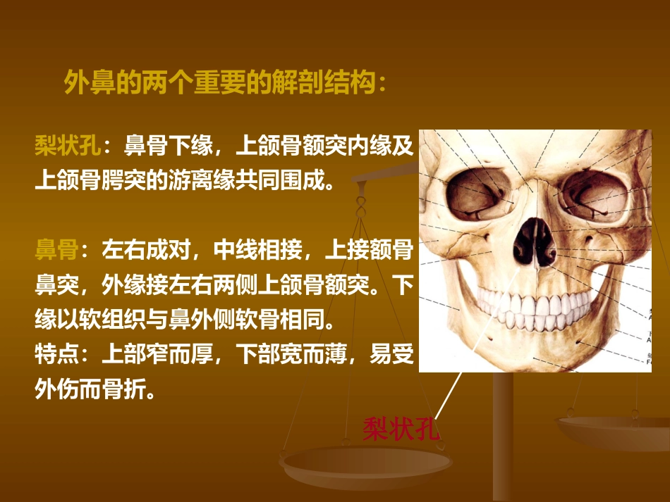 鼻部解剖及生理 (2)_第5页