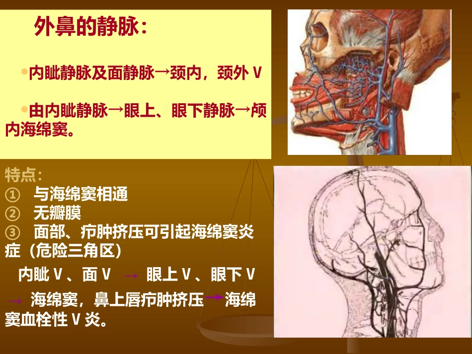 鼻部解剖及生理 (2)_第6页