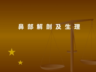 鼻部解剖及生理 (2)