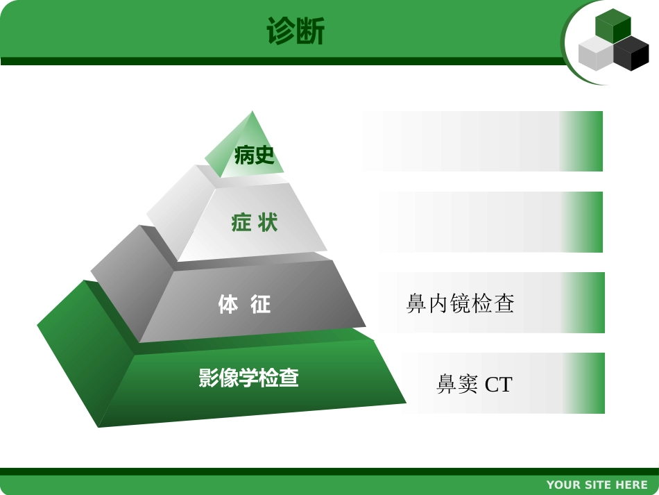 鼻息肉 (2)_第14页