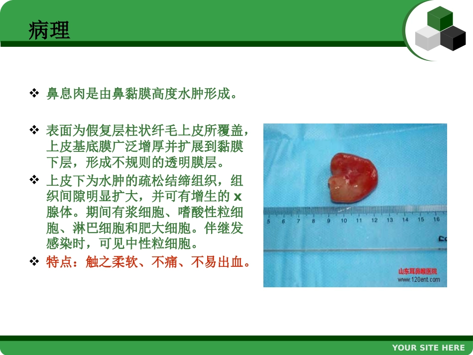 鼻息肉 (2)_第6页
