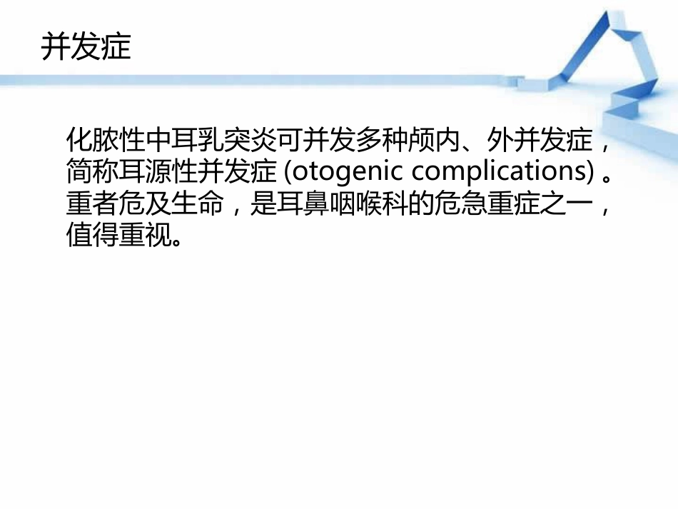 慢性化脓性中耳炎(2)_第12页