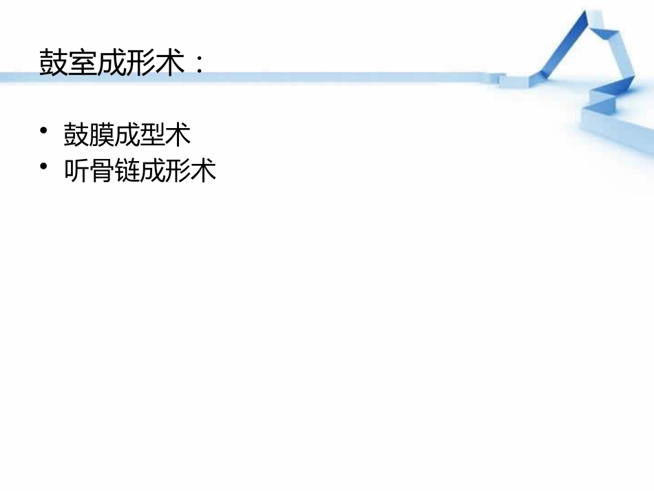 慢性化脓性中耳炎(2)_第13页