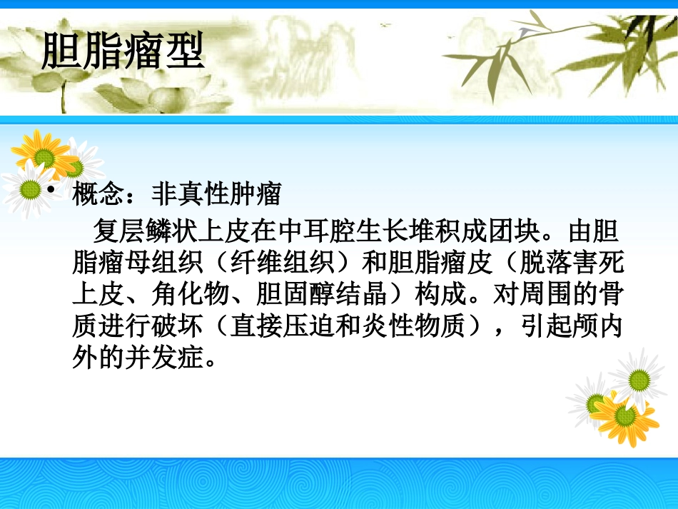 慢性中耳炎(2)_第12页
