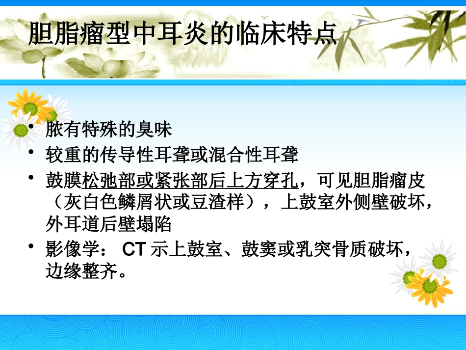 慢性中耳炎(2)_第14页