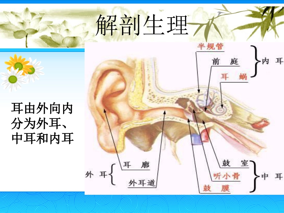 慢性中耳炎(2)_第3页