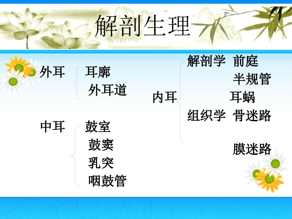 慢性中耳炎(2)_第4页