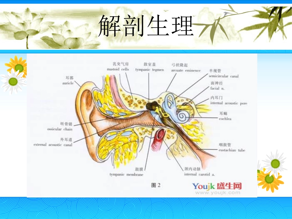 慢性中耳炎(2)_第6页