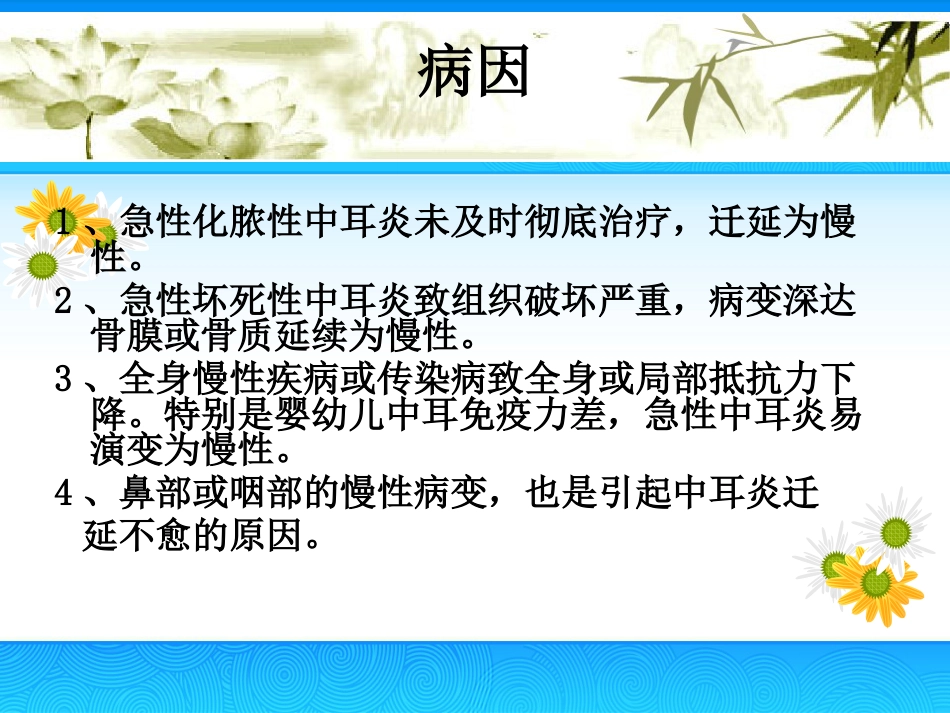慢性中耳炎(2)_第7页